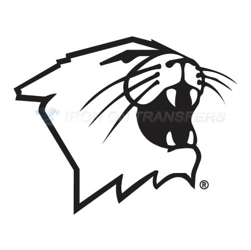 Northwestern Wildcats Logo T-shirts Iron On Transfers N5704